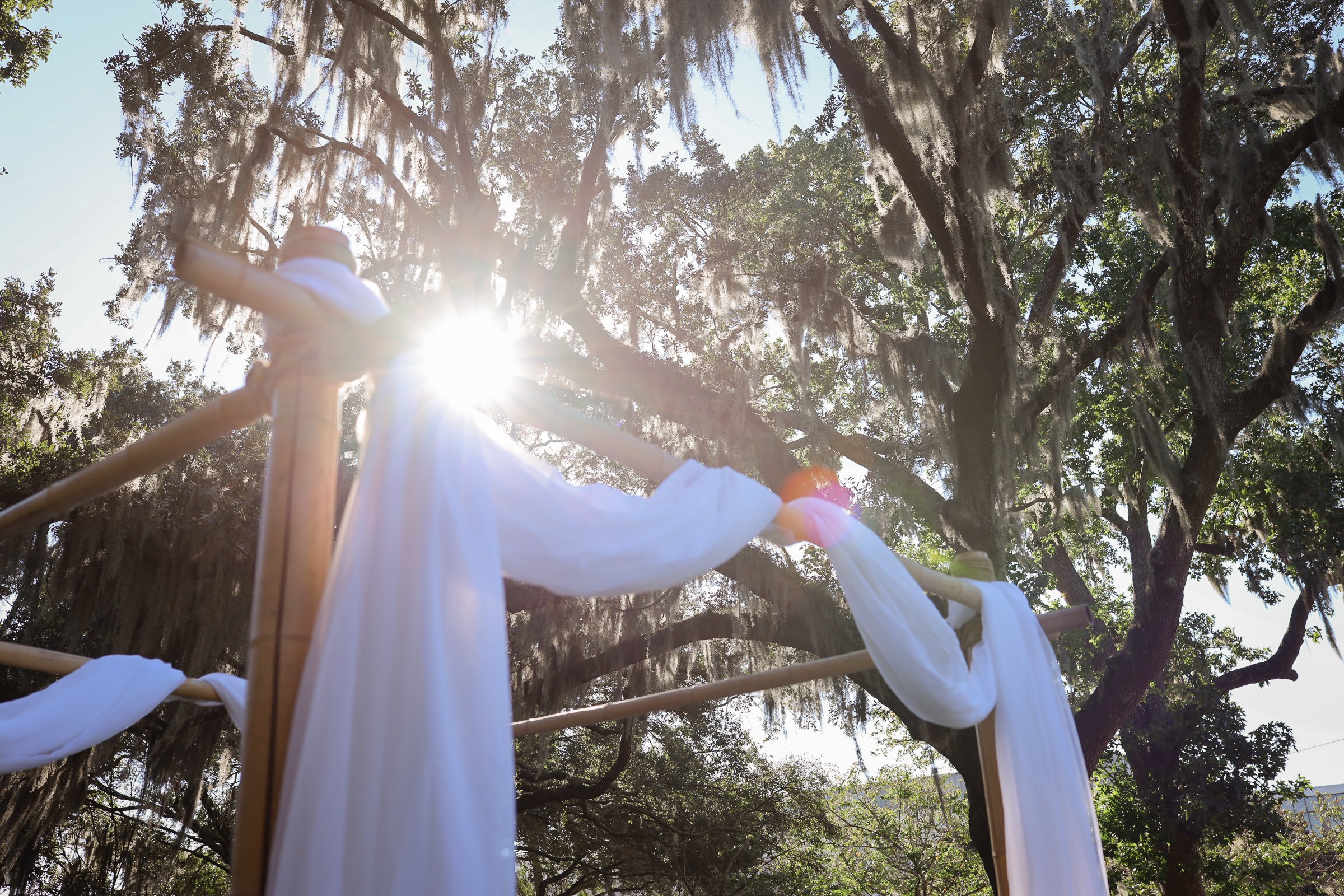 Sunlight through an outdoor wedding ceremony arch